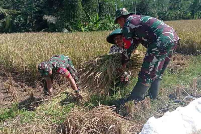 Babinsa tumbuhkan semangat tinggi terhadap para petani
