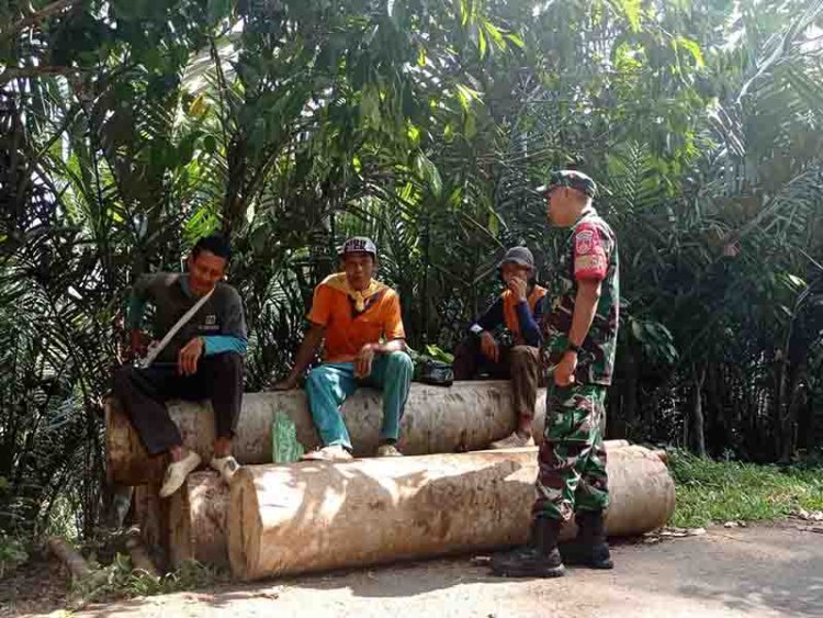 Babinsa Komsos dengan Bapak Asnan buruh pikul kayu
