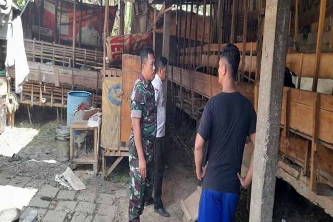 Dengan Komsos Babinsa Koramil Madukara Memberikan Memotivasi Peternak Kambing