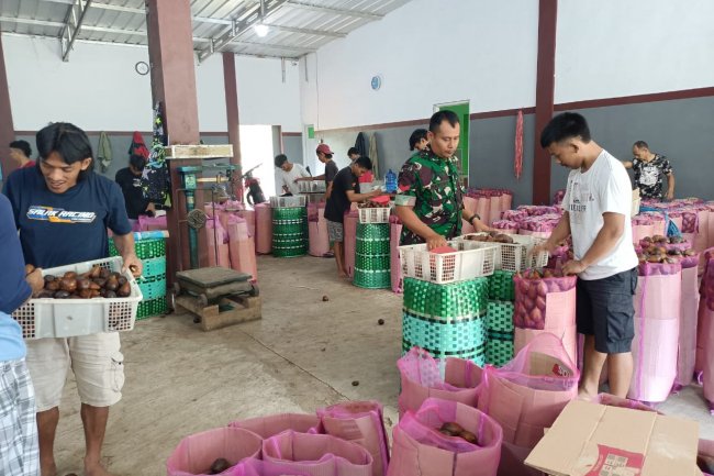 Galang Kegiatan Komunikasi Sosial (Komsos) Dengan Petani Salak