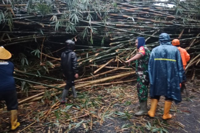 BABINSA KORAMIL 14/MADUKARA BERSAMA APARAT TERKAIT BERSIHKAN MATERIAL BAMBU TUMBANG YANG MENUTUP JALAN DESA 