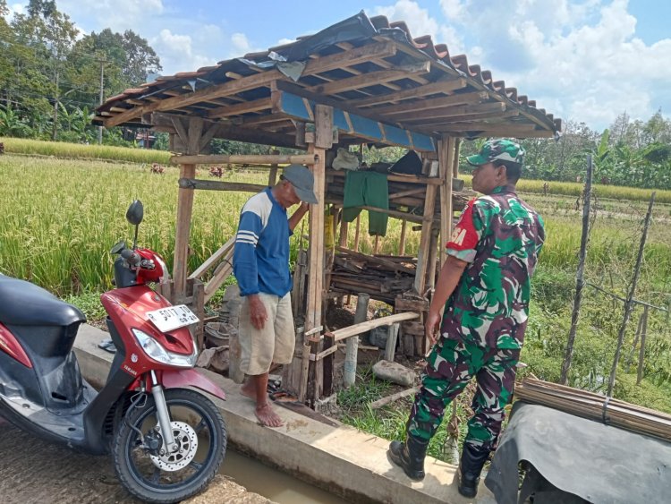 BABINSA KORAMIL 14/MADUKARA KOMSOS DENGAN PETANI CABAI DIWILAYAH BINAAN