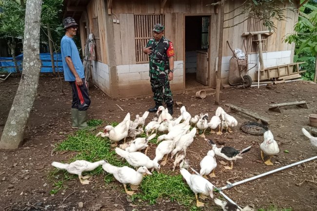 Menjalin Silaturahmi, Babinsa Koramil 14/Madukara Komsos dengan Tokoh Masyarakat