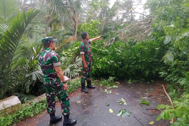 Danramil 14/Madukara, Bersama Babinsa Tinjau Lokasi Kejadian Angin Puting Beliung Yang Menerjang 5 Unit Rumah Warga