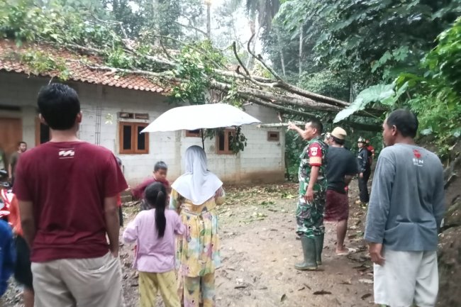 Babinsa Gerak Cepat Atasi Pohon Tumbang