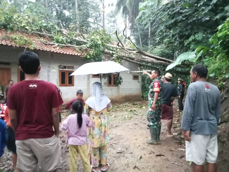 Babinsa Gerak Cepat Atasi Pohon Tumbang