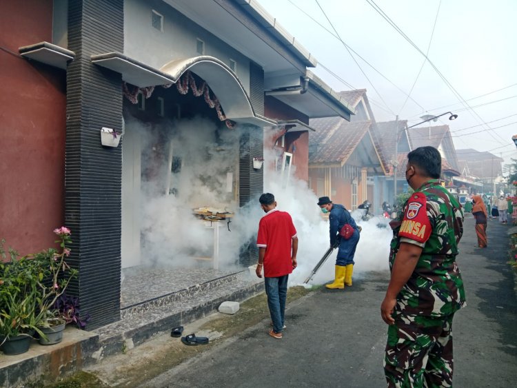 Basmi Sarang Nyamuk, Babinsa Dampingi Kegiatan Fogging