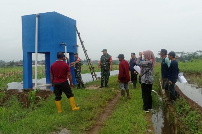 Pendampingan Pompanisasi Babinsa Koramil 14/Madukara Kepada Petani Binaan