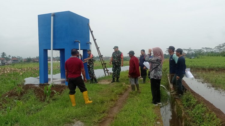 Pendampingan Pompanisasi Babinsa Koramil 14/Madukara Kepada Petani Binaan