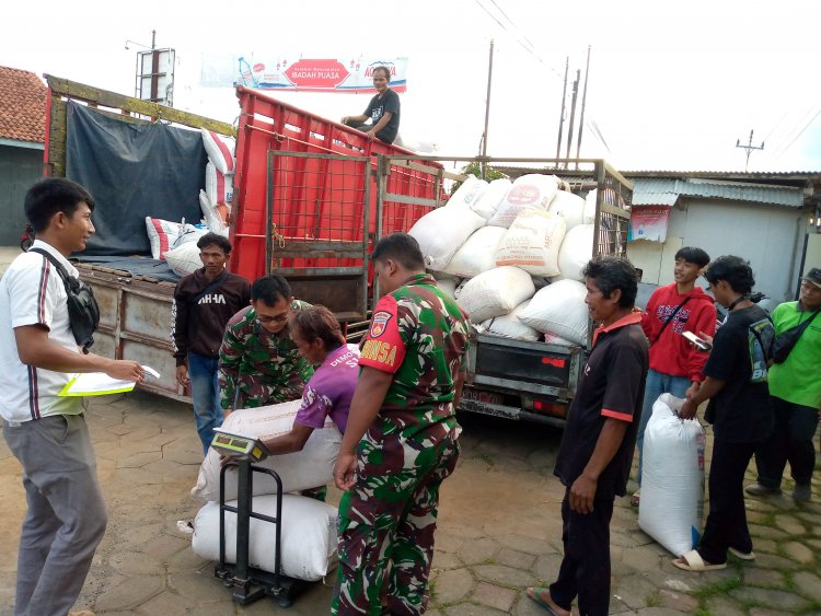 Babinsa Koramil 14/Madukara Dampingi Bulog Dalam Serapan Gabah Petani